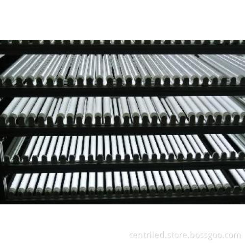 High quality Clear LED Tube T8 150cm with Isolated Driver